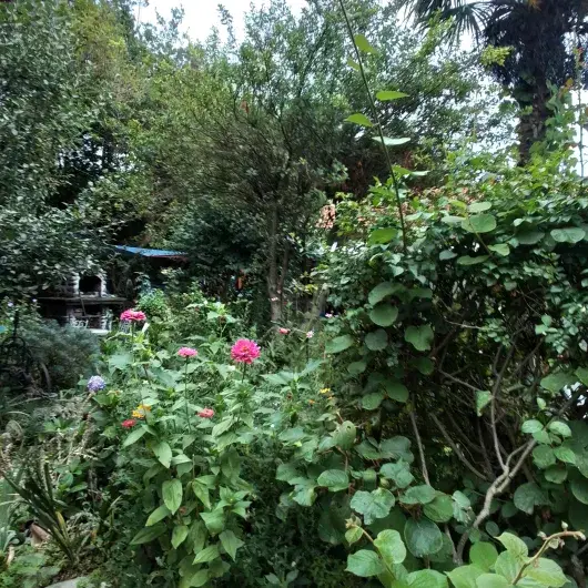  maison aux 100 000 fleurs 
