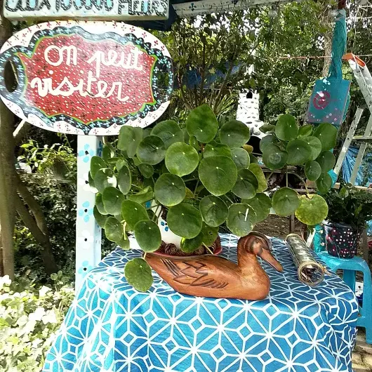  maison aux 100 000 fleurs 