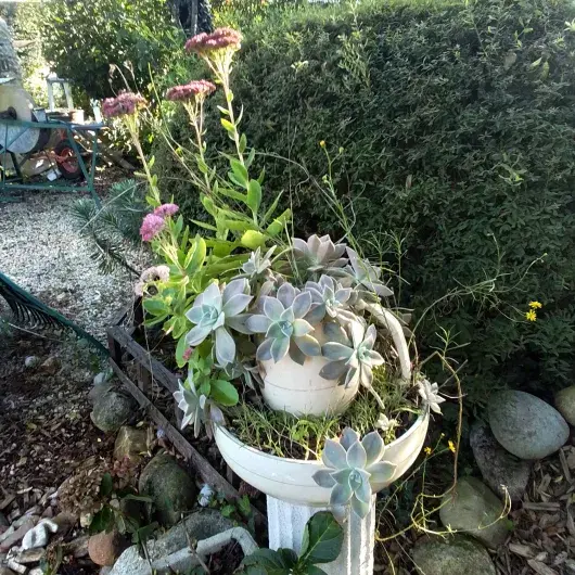  maison aux 100 000 fleurs 