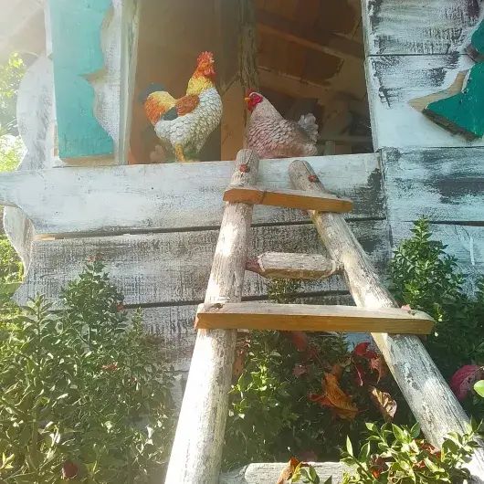  maison aux 100 000 fleurs 